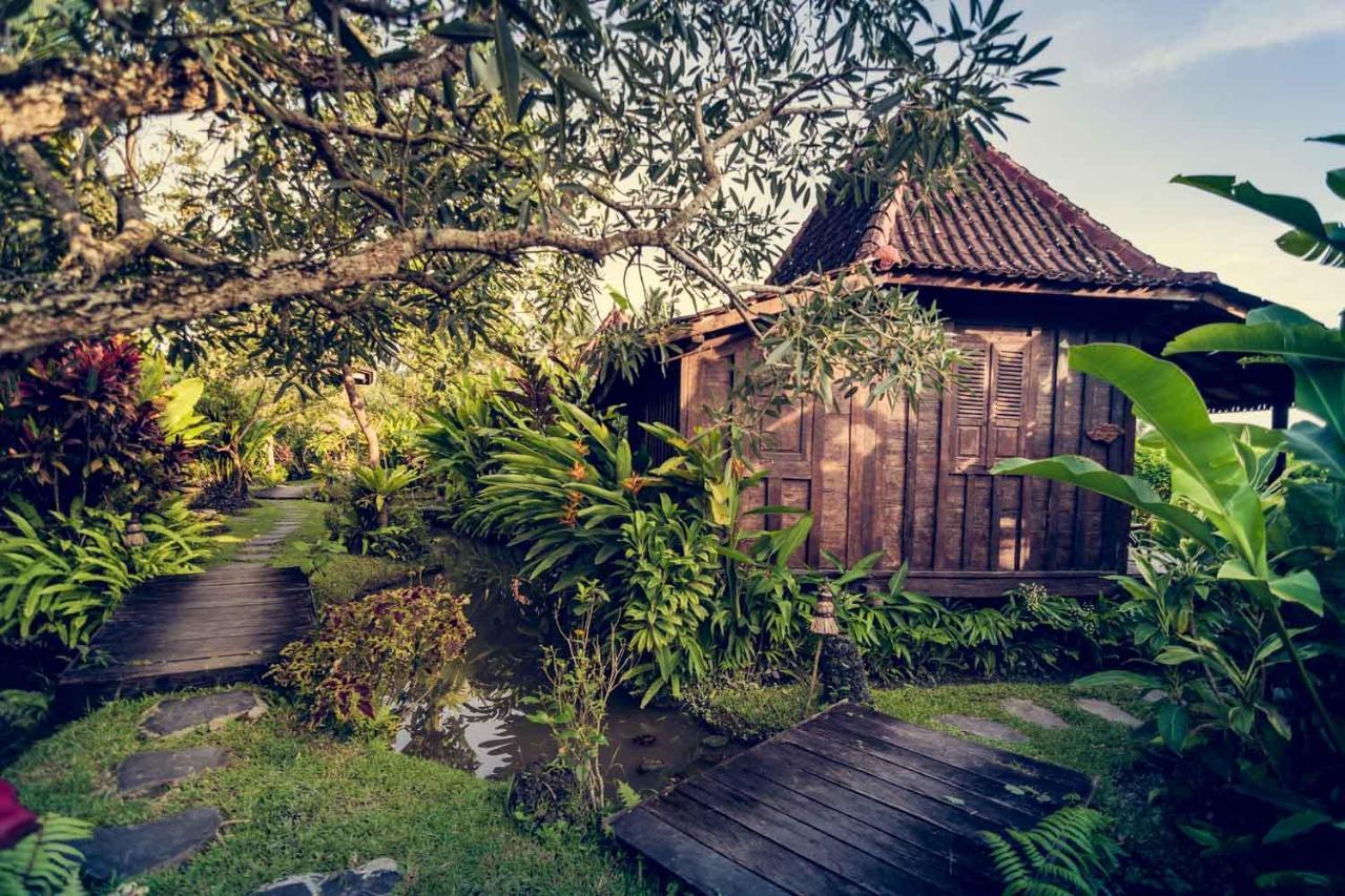 Dragonfly Village Ubud Exterior foto
