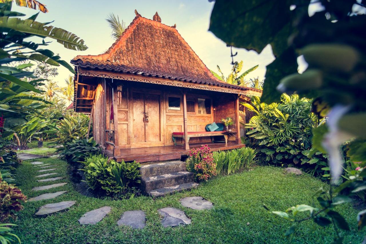 Dragonfly Village Ubud Exterior foto