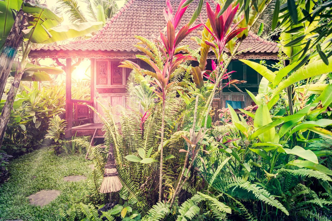 Dragonfly Village Ubud Exterior foto